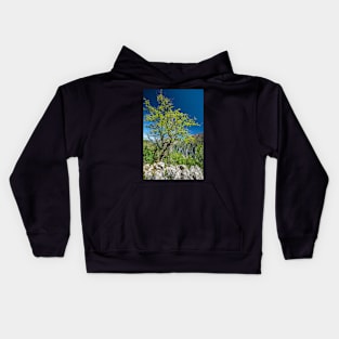 Limestone mountains Kids Hoodie